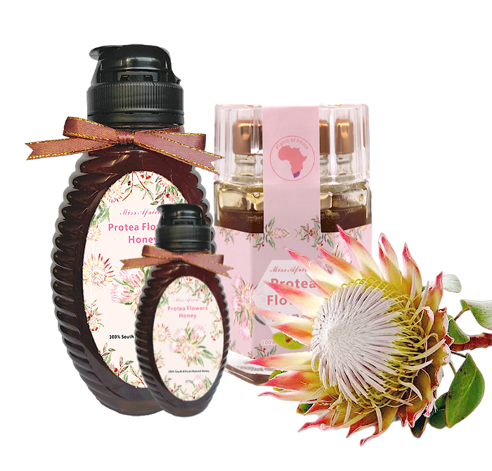 New Miss Africa protea flower honey combination03